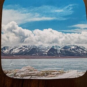 Blue and White Ergonomic Wireless Mouse